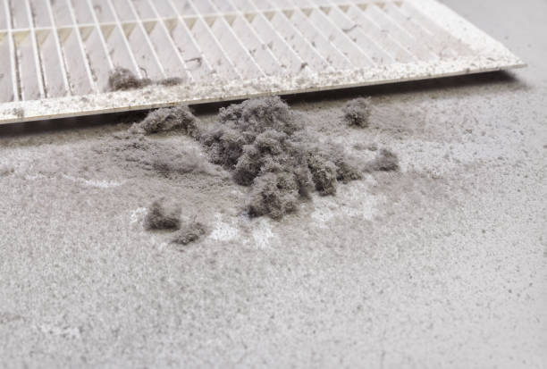 Best Affordable Duct Cleaning Services  in Dwight, IL
