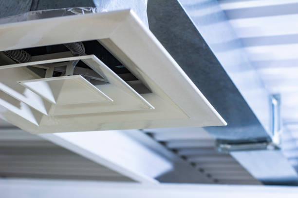 Best Home Air Vent Cleaning  in Dwight, IL