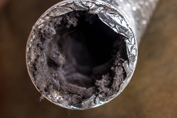 Best Local Air Duct Cleaning Services  in Dwight, IL